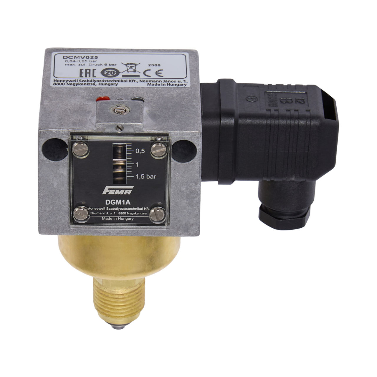 Pressure Monitor for Fuel Gas to DIN EN185