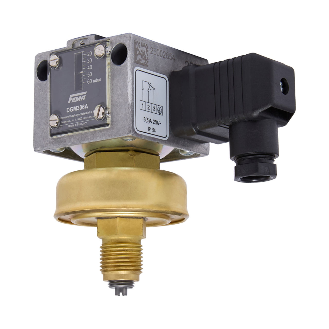 PRESSURE MONITOR FOR GAS