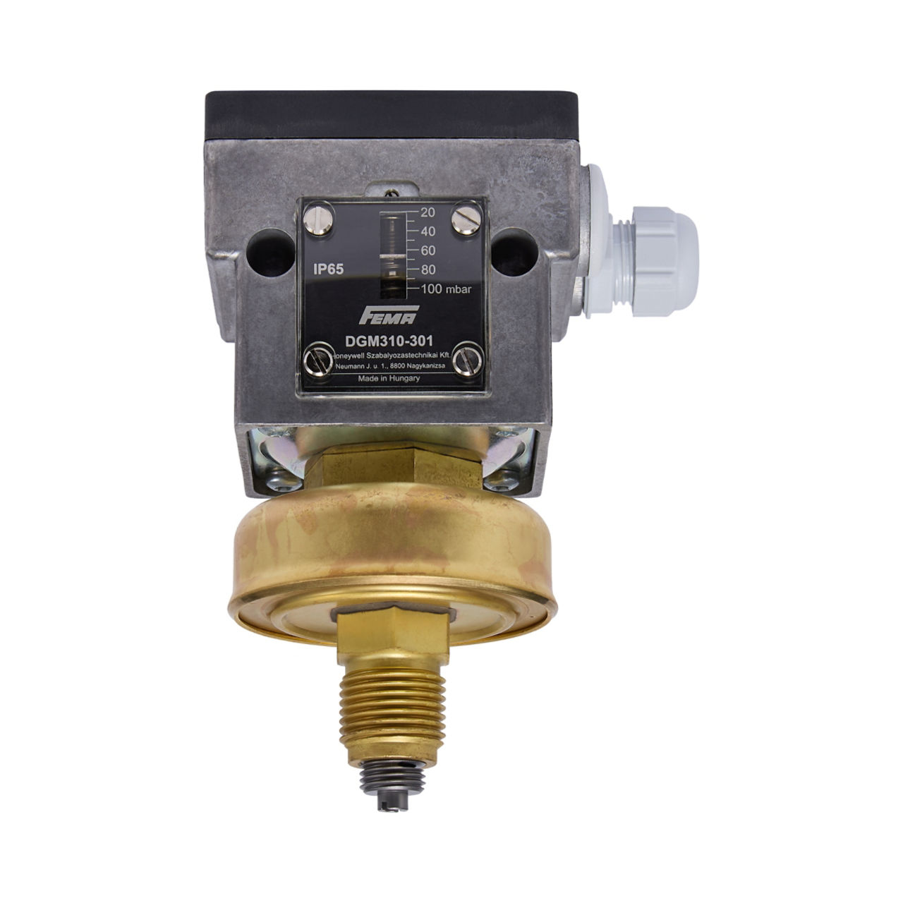 PRESSURE MONITOR FOR GAS