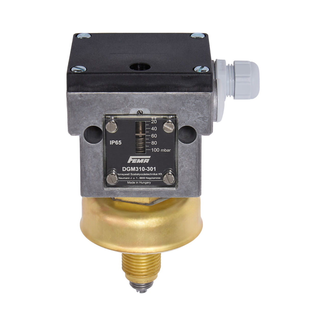 PRESSURE MONITOR FOR GAS