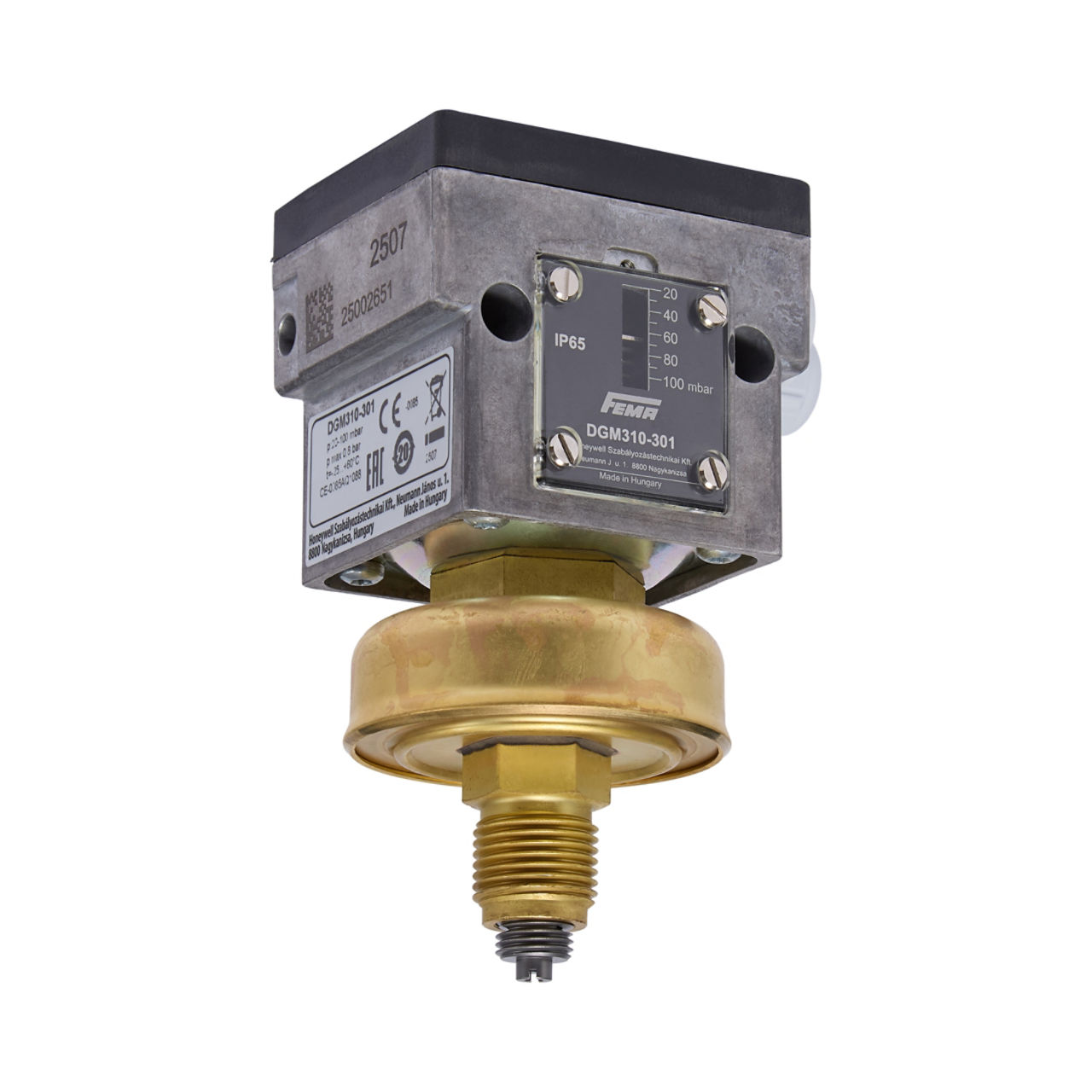 PRESSURE MONITOR FOR GAS