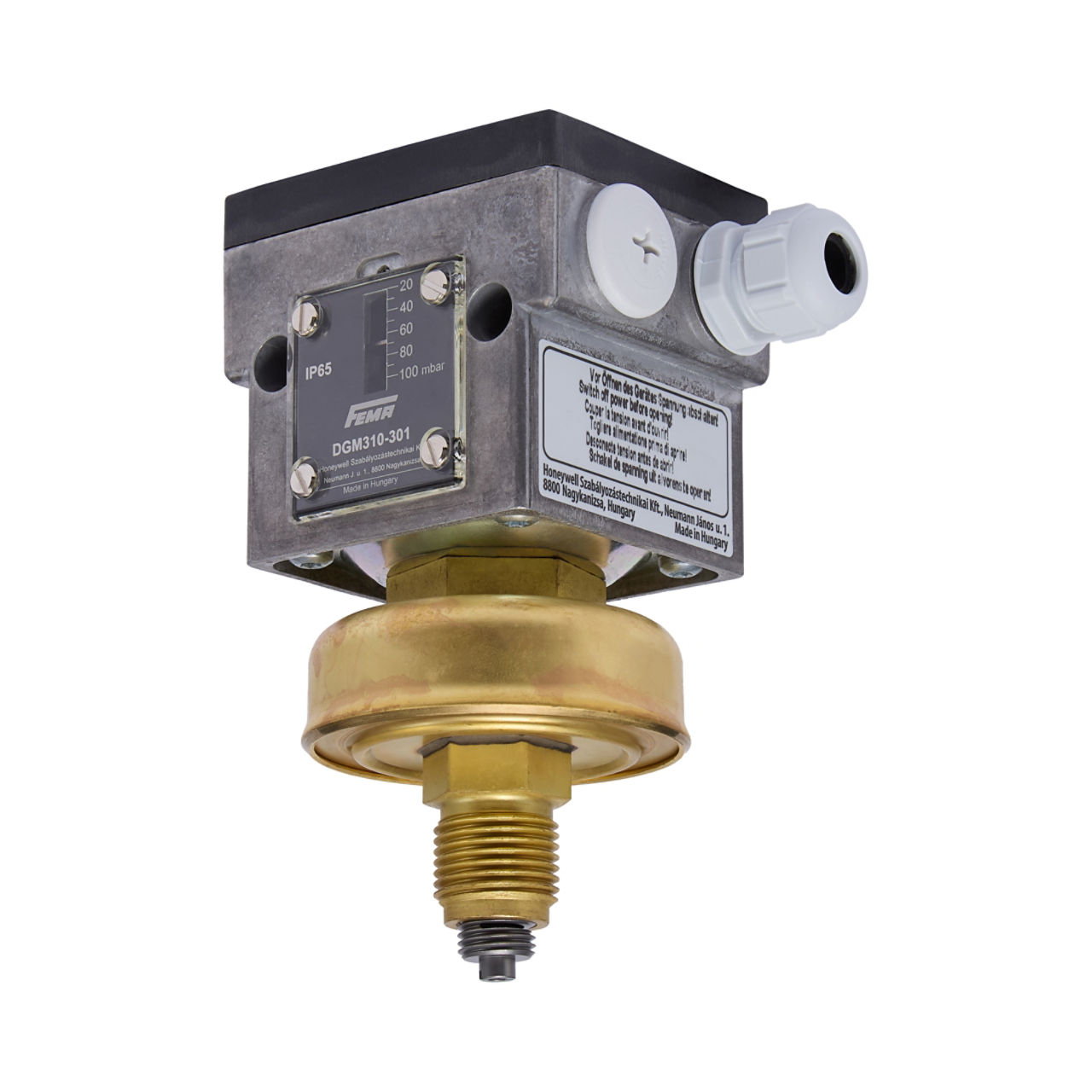 PRESSURE MONITOR FOR GAS