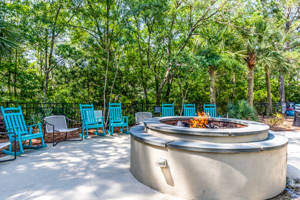 fire pit at Avana Long Point Apartments