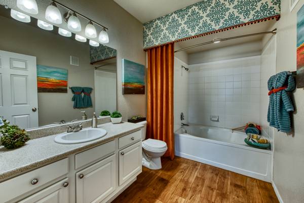 bathroom at Stonebridge Ranch Apartments