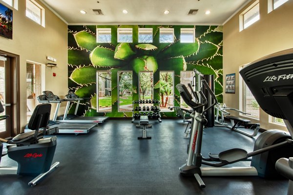 fitness center at Stonebridge Ranch Apartments
