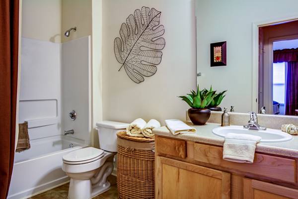 bathroom at The Reserve at Mill Creek Apartments