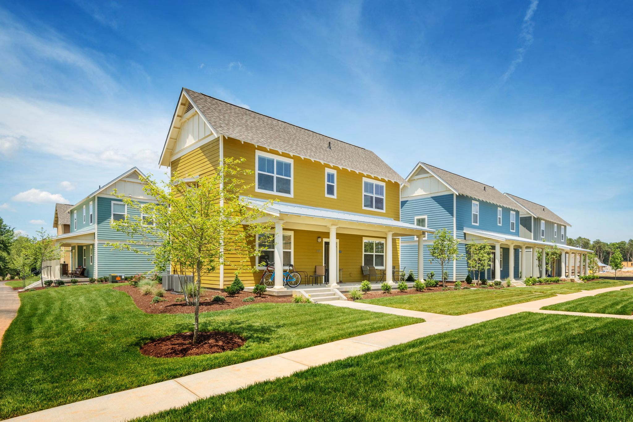 Homestead at Hartness: Charming cottage homes in a tranquil setting, blending nature with luxury living in a serene community