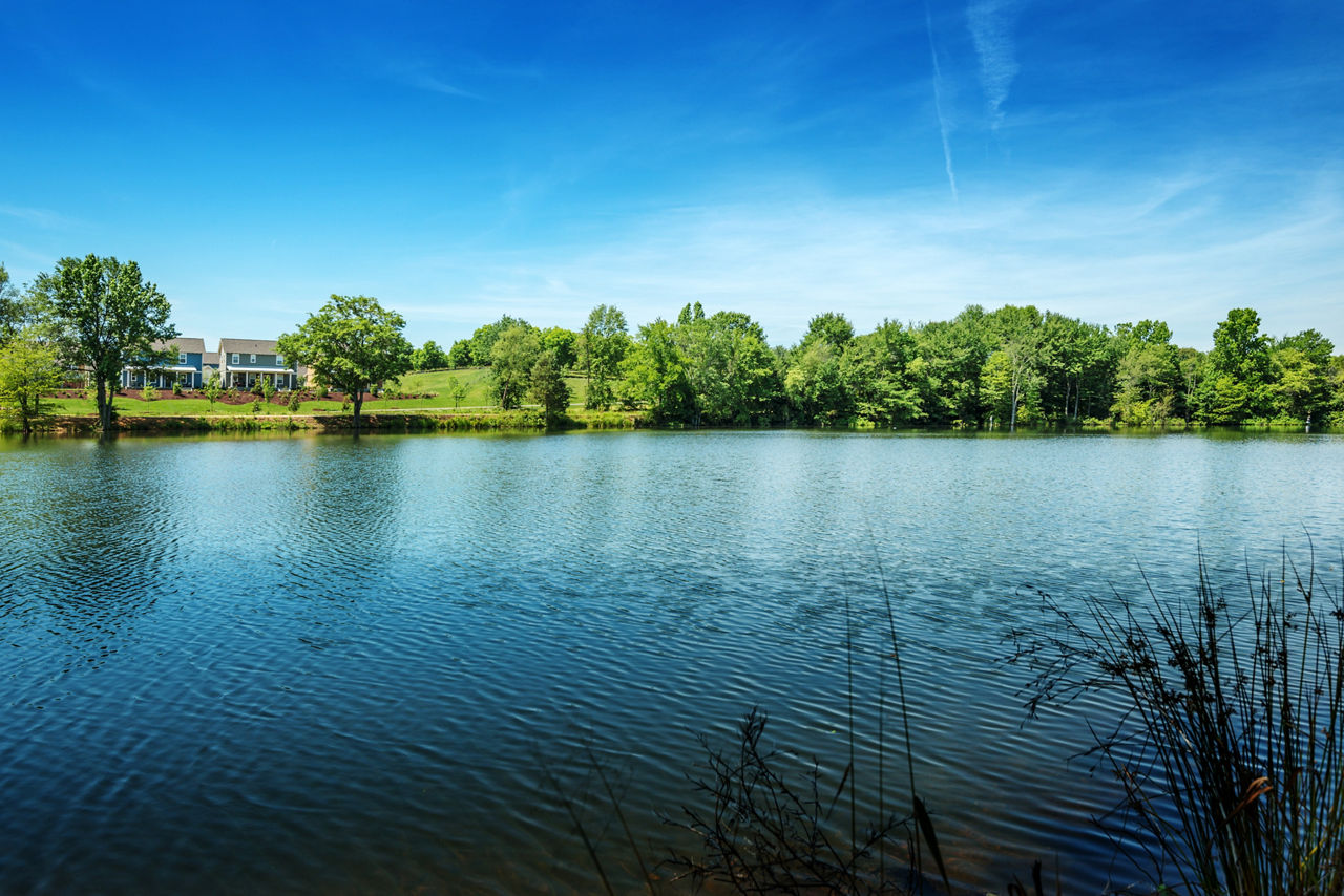 Homestead at Hartness: Charming cottage homes nestled amidst scenic landscapes
