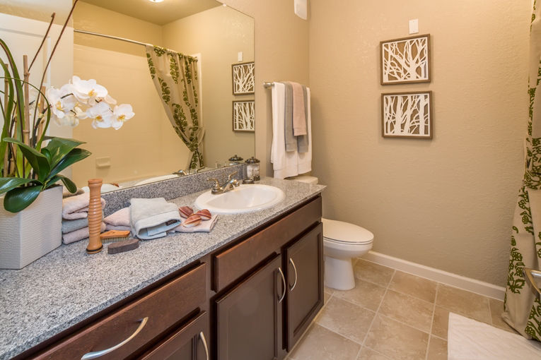 Trinity Exchange Luxury Apartments New Port Richey Fl 4 of 12