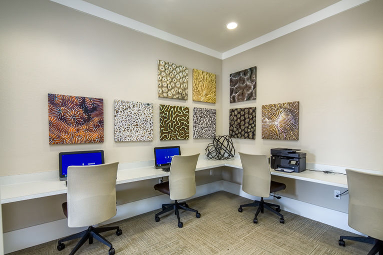 Trinity Exchange Luxury Apartments New Port Richey Fl 5 of 12