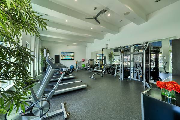 fitness center at Seven Luxury Apartments