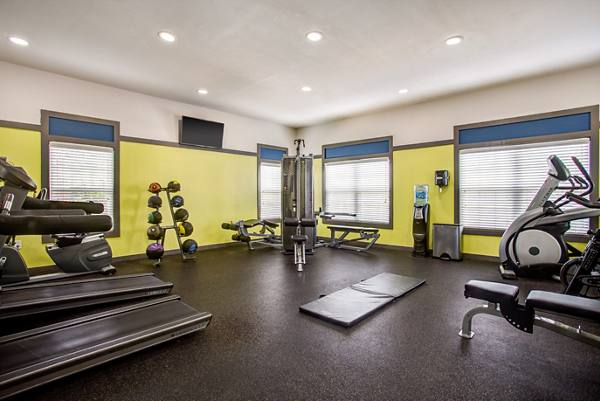 fitness center at Town Center at Lakeside Village Apartments
