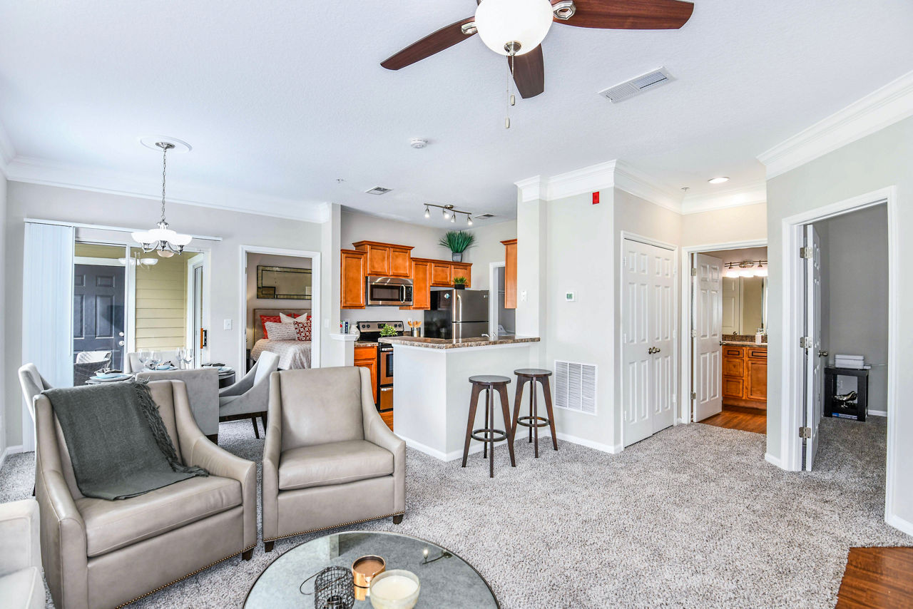 Cozy living room with modern decor and ample natural light in 54 Magnolia Apartments