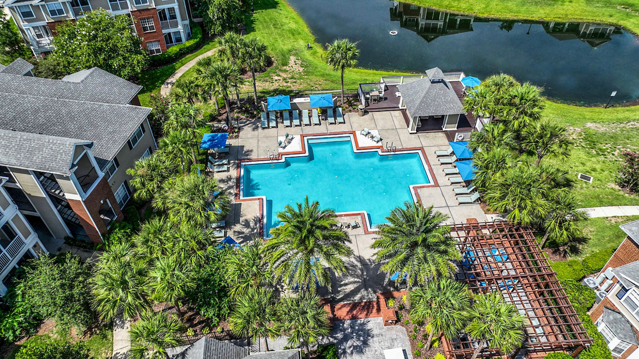 Rooftop pool with lounge chairs at 54 Magnolia Apartments, offering luxurious amenities for relaxation