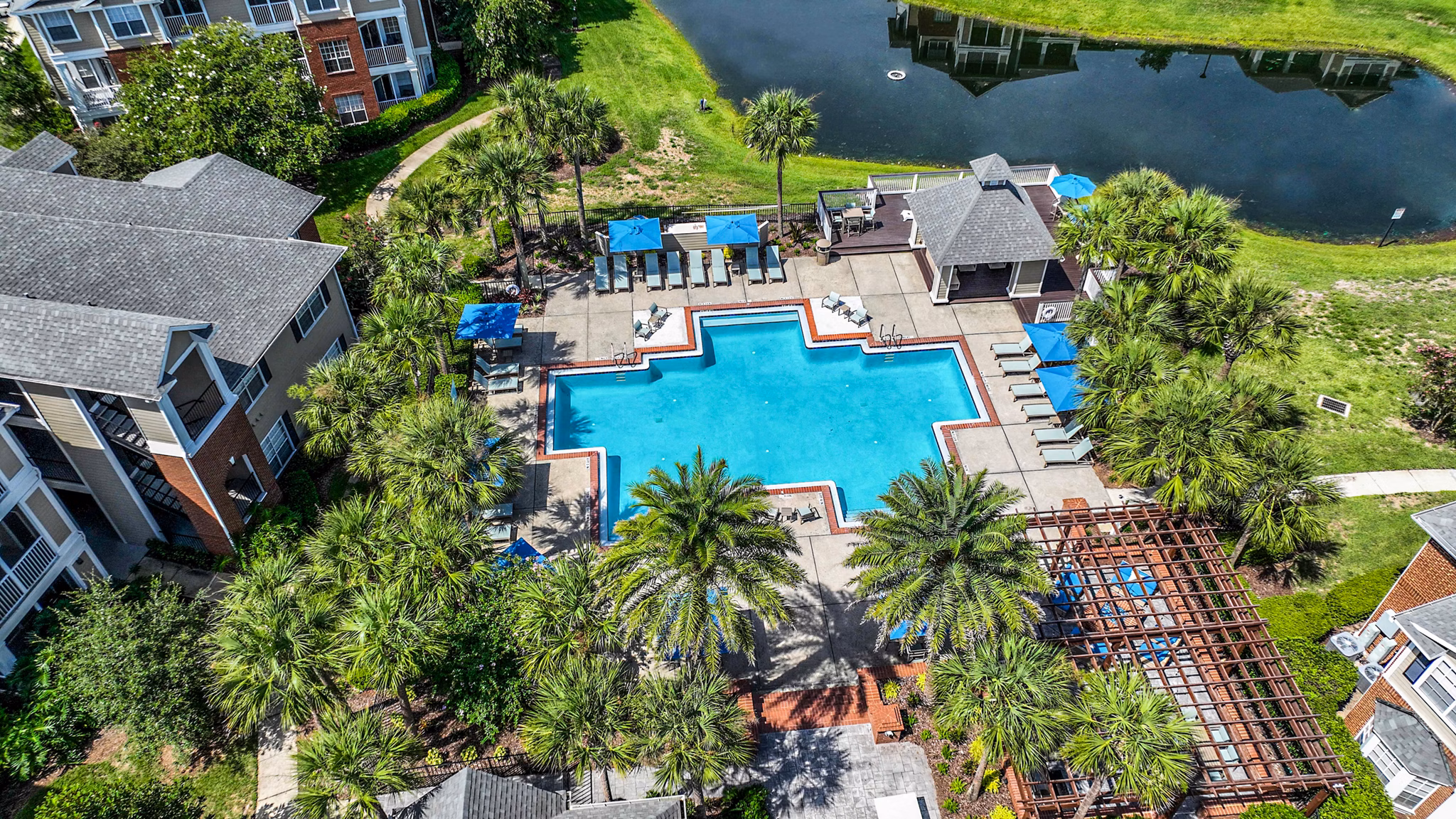Rooftop pool with lounge chairs at 54 Magnolia Apartments, offering luxurious amenities for relaxation
