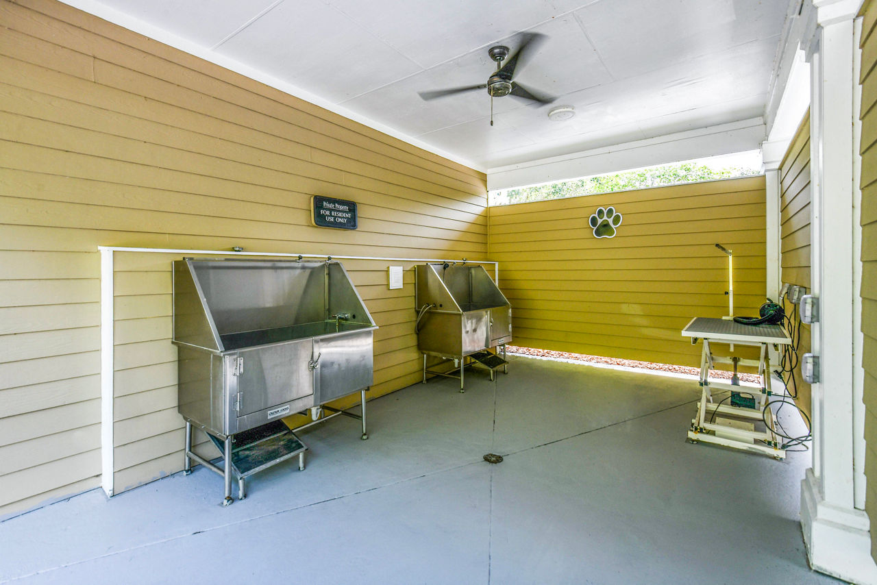 Dog wash station with pet grooming facilities at 54 Magnolia Apartments High-quality amenities for pet owners seeking luxury living