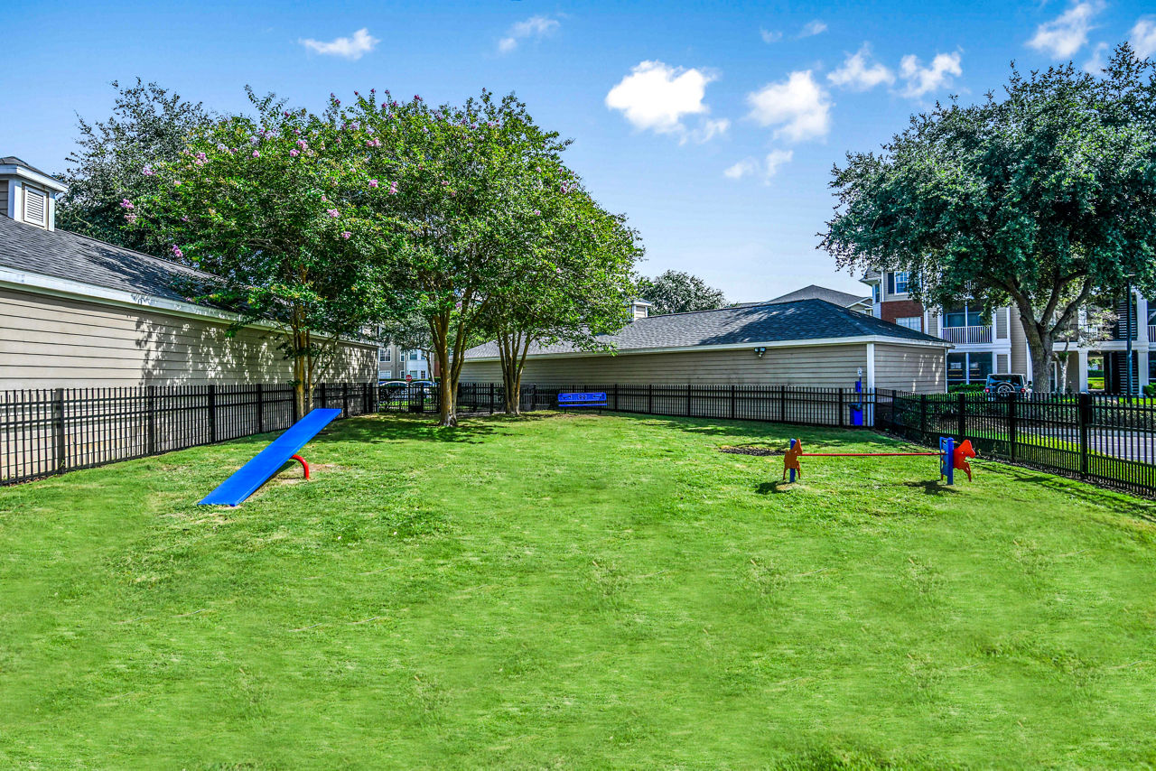 Dog-friendly park featuring agility equipment at 54 Magnolia Apartments, a luxury property managed by Greystar