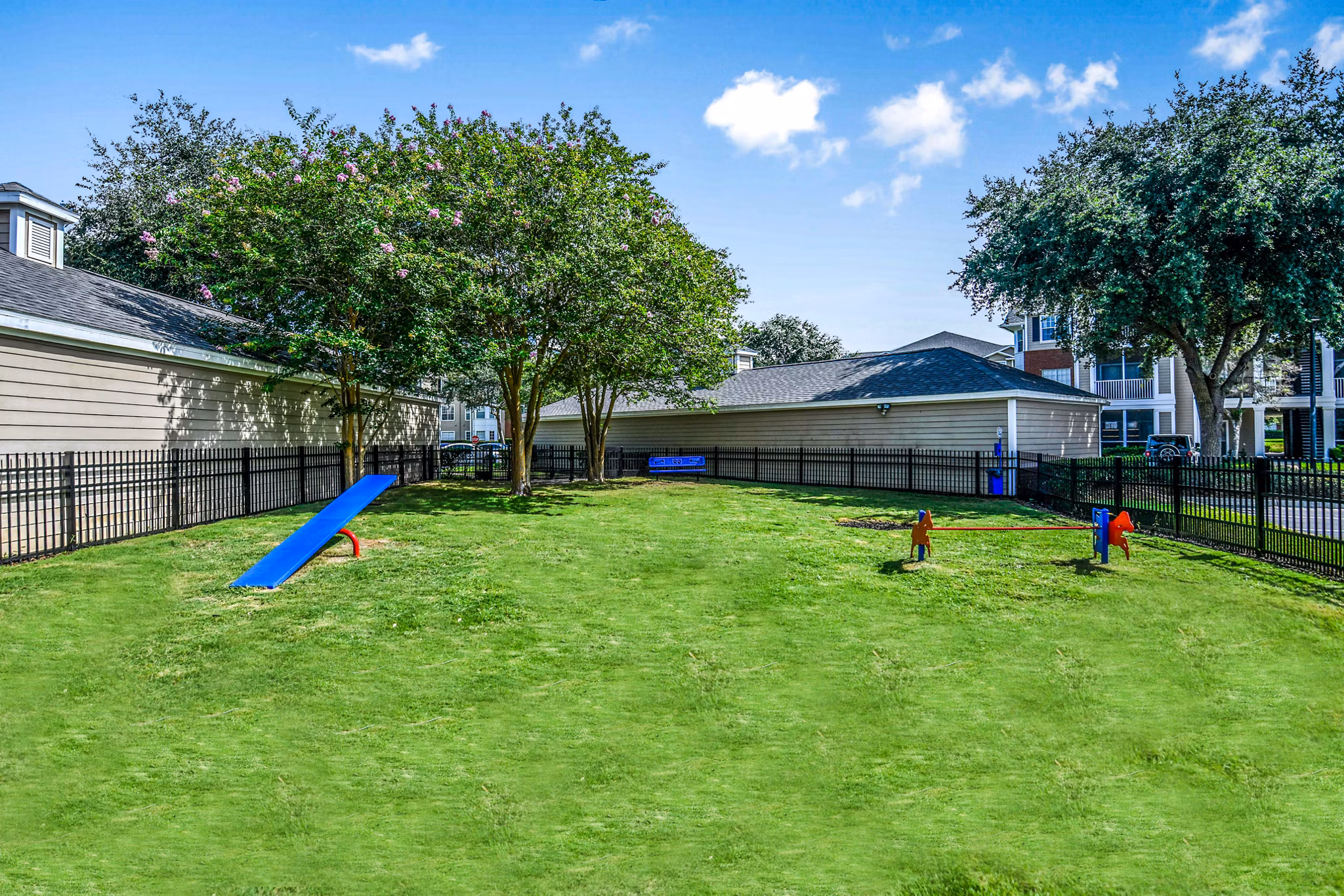 Dog-friendly park featuring agility equipment at 54 Magnolia Apartments, a luxury property managed by Greystar