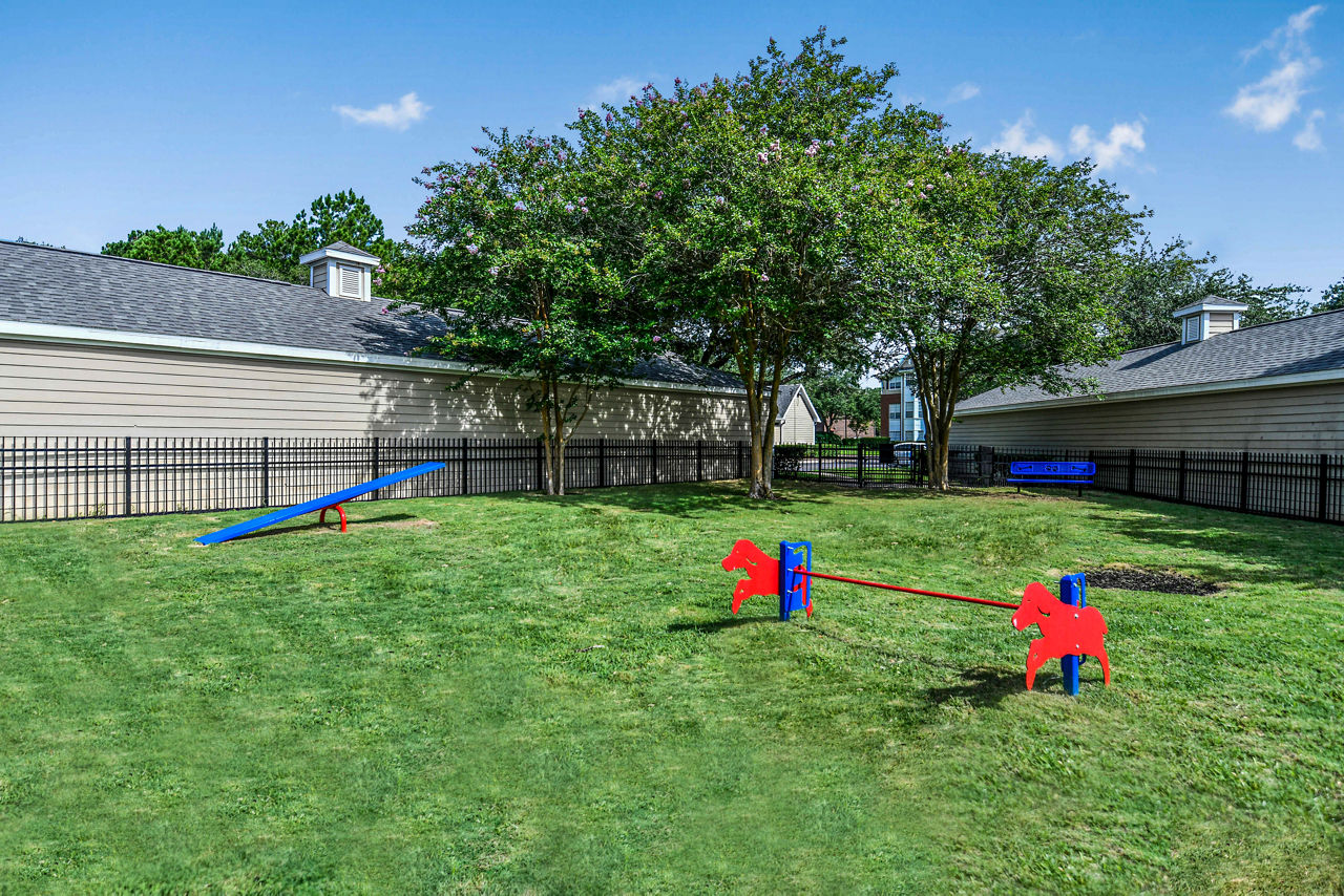 Dog-friendly park with shaded seating at 54 Magnolia Apartments