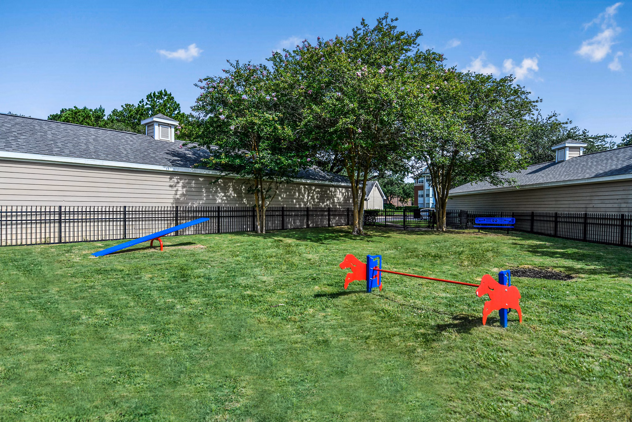 Dog-friendly park with shaded seating at 54 Magnolia Apartments