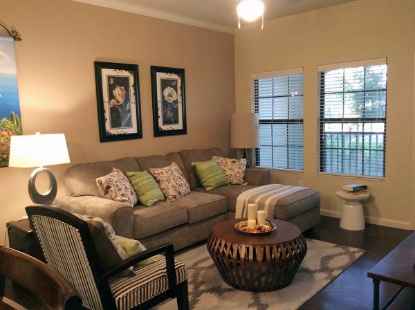living room at Sanctuary at Eagle Creek Apartments

