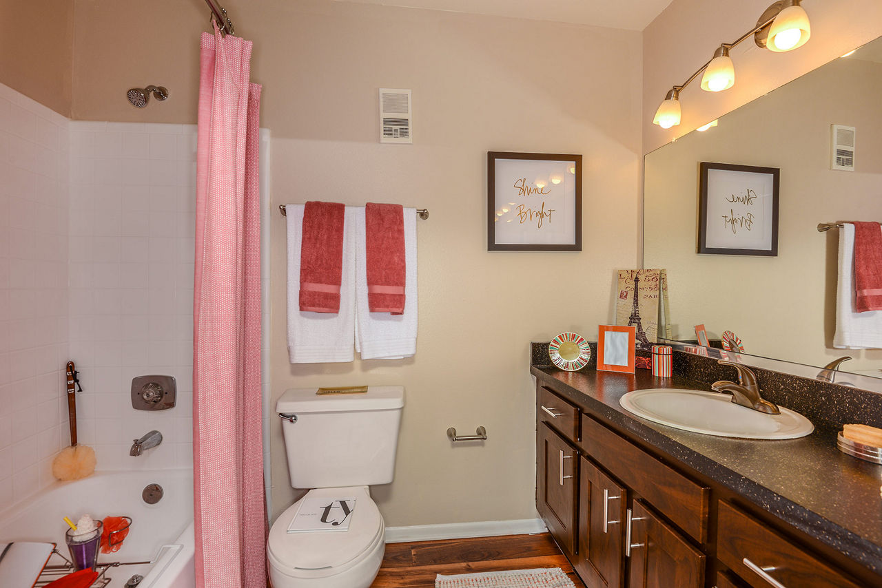 Bathroom with sleek fixtures and granite countertops in Stonebrook Apartments luxury units