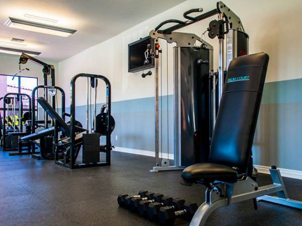 fitness center at Palm Court Apartments