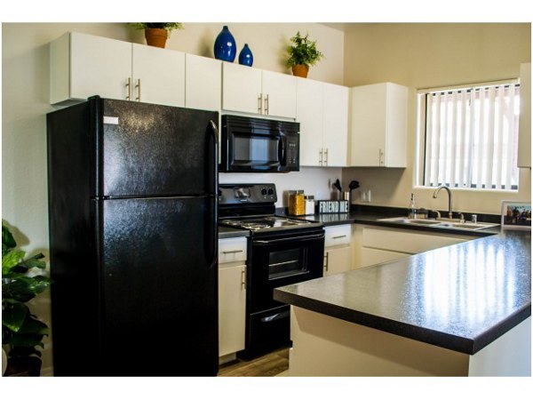kitchen at Palm Court Apartments