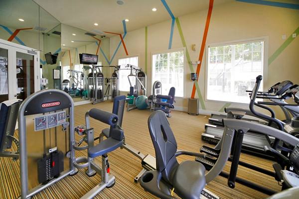 fitness center at Avana Cypress Creek Apartments