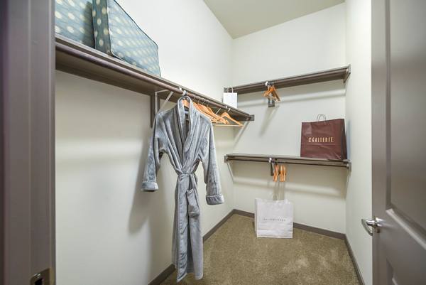 bedroom closet at Overture Plano Apartments                    