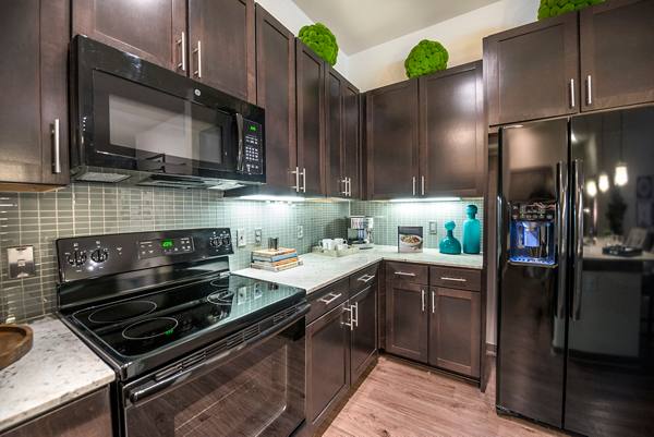 kitchen at Overture Plano Apartments       