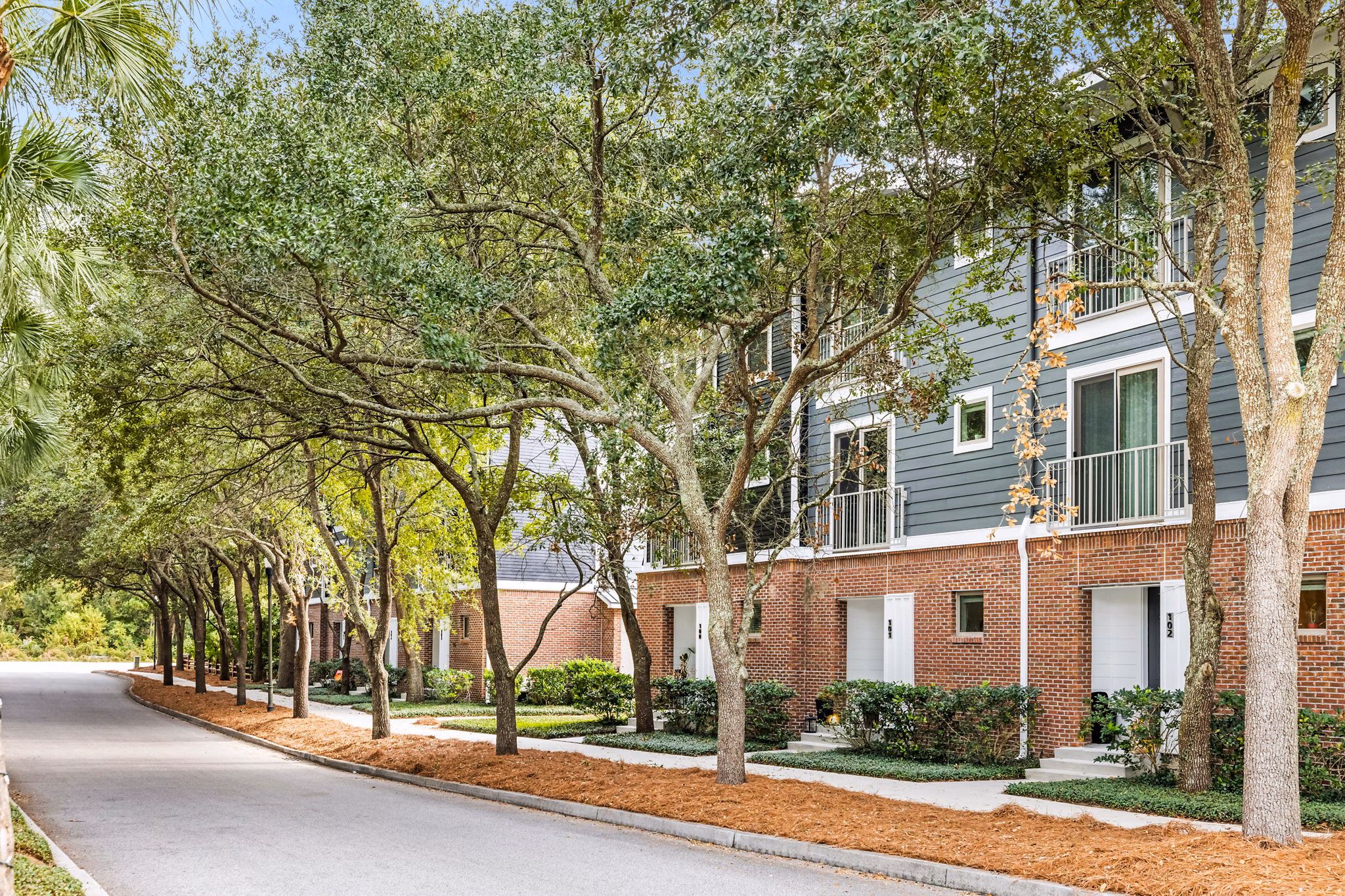 Riviera at Seaside: Luxury beachfront apartments with modern design