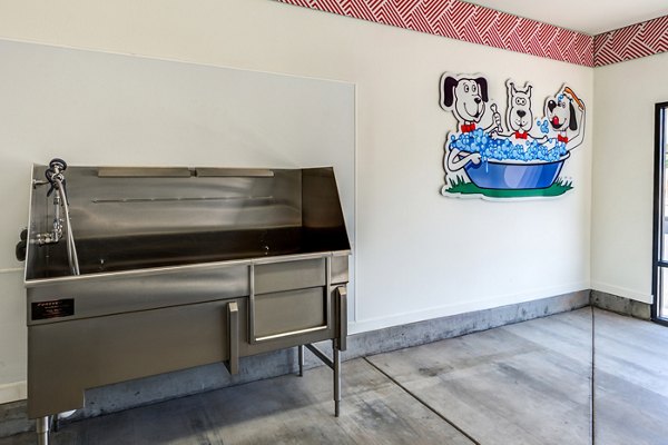 dog wash station at The Cooper 202 Apartments