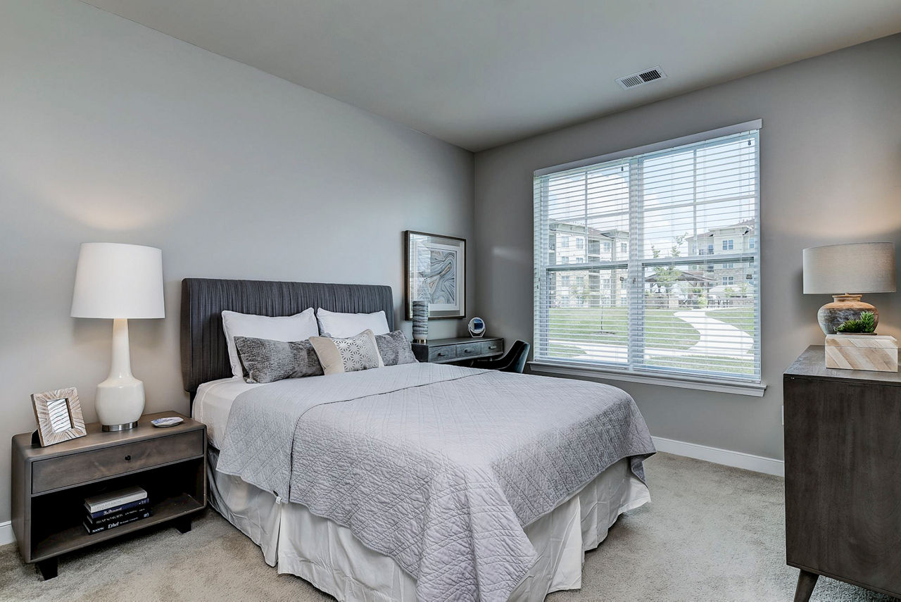 Cozy bedroom with modern decor and large windows at Paragon at Columbia Overlook Apartments