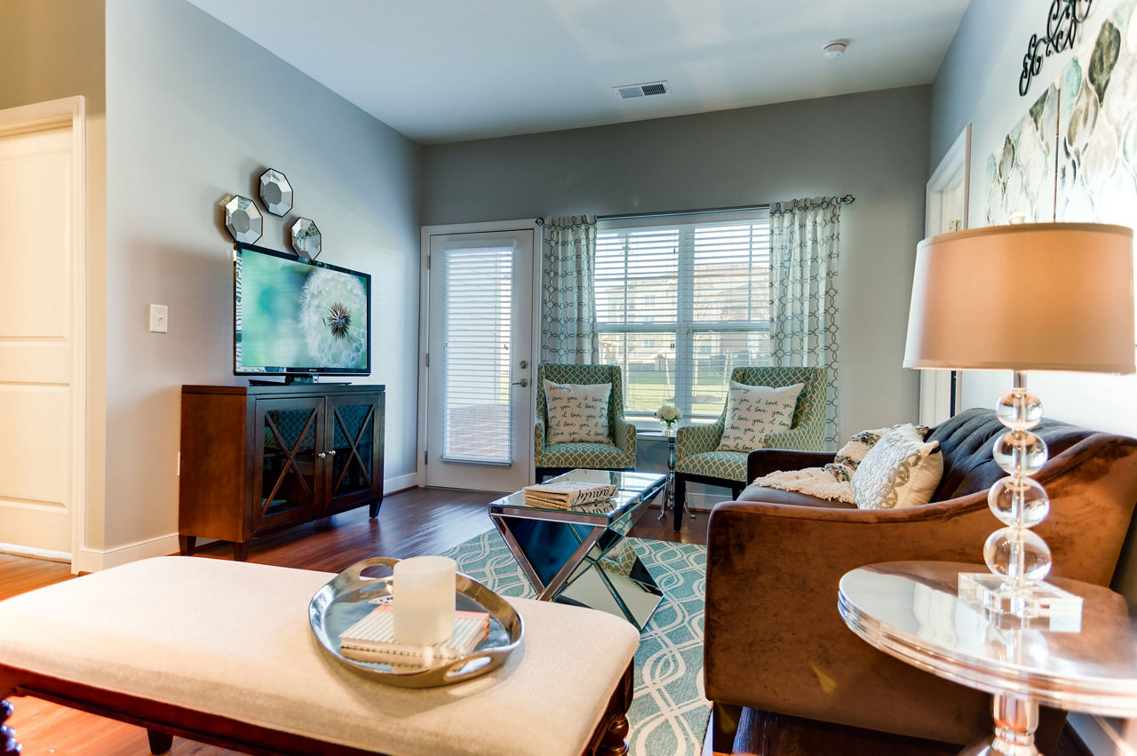 Spacious living room with modern furnishings at Paragon at Columbia Overlook Apartments