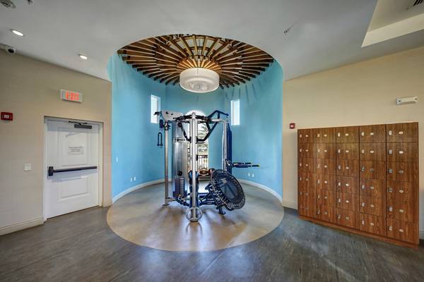 fitness center at Solle Davie Luxury Apartments
