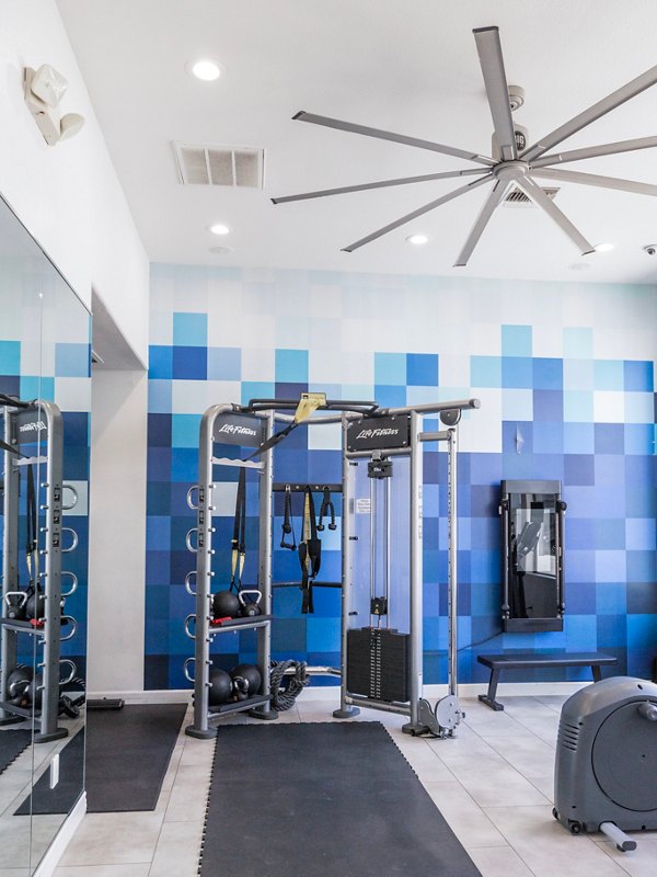 fitness center at Clarendon Park Apartments