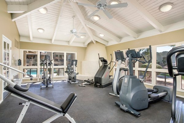 Fitness Center at Avana at the Pointe Apartments