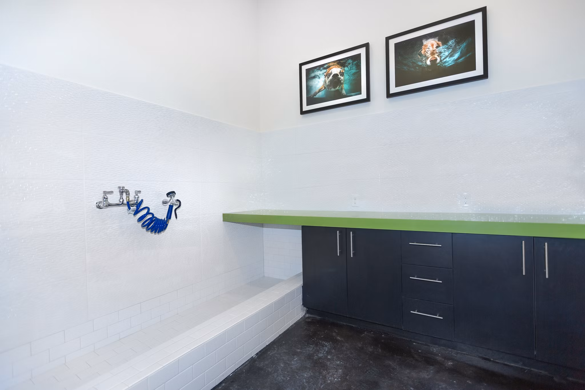 Convenient dog wash station at Sea Glass Apartments, perfect for pet owners seeking luxury living