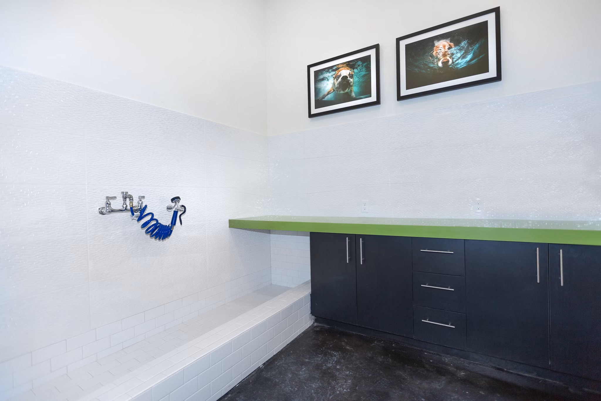Convenient dog wash station at Sea Glass Apartments, perfect for pet owners seeking luxury living