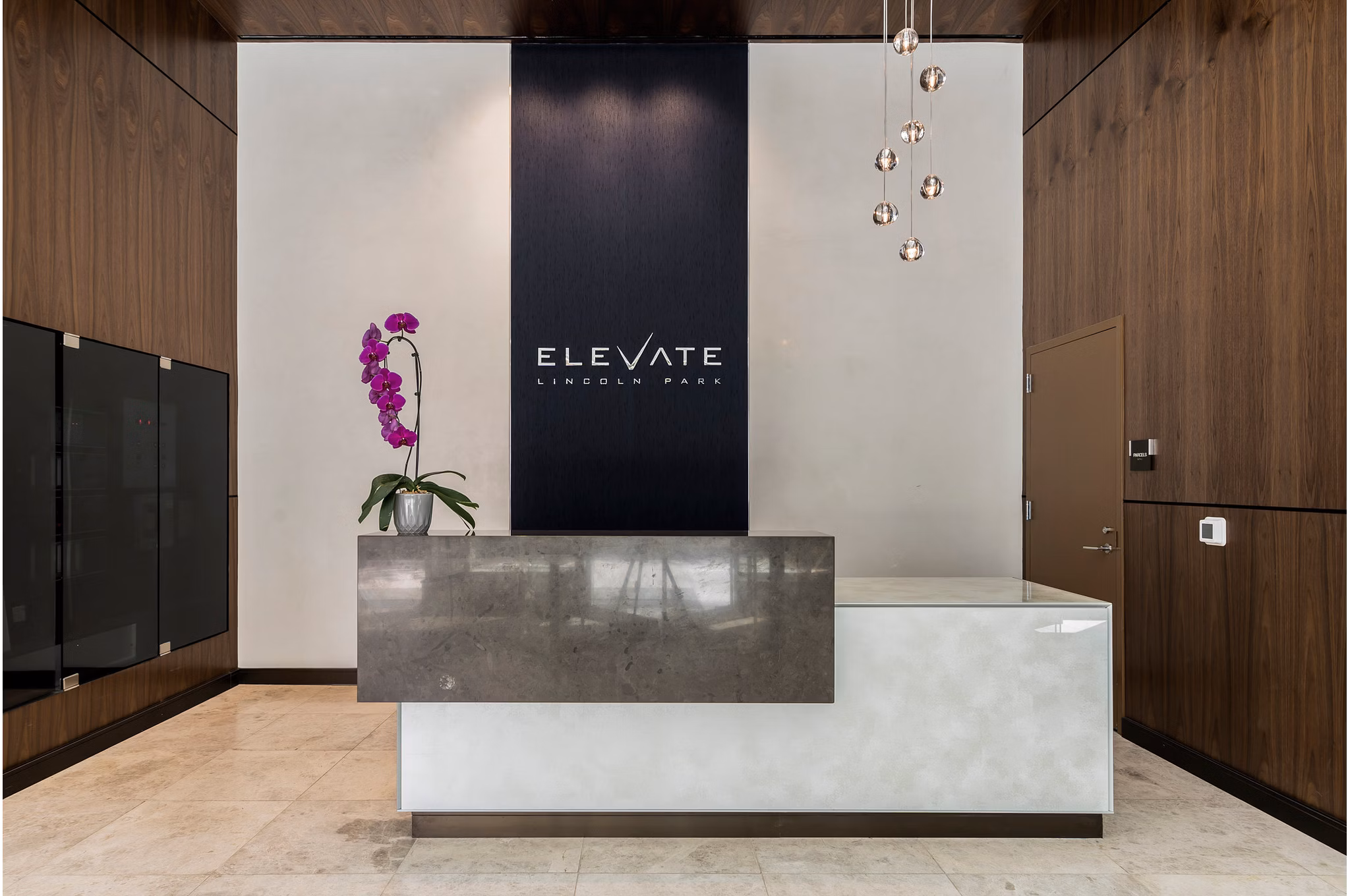 Modern front lobby with sleek furnishings at Elevate Apartments