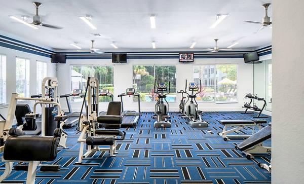 fitness center at Avana Westchase Apartments