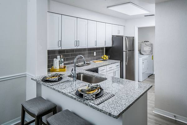 kitchen at Avana Westchase Apartments