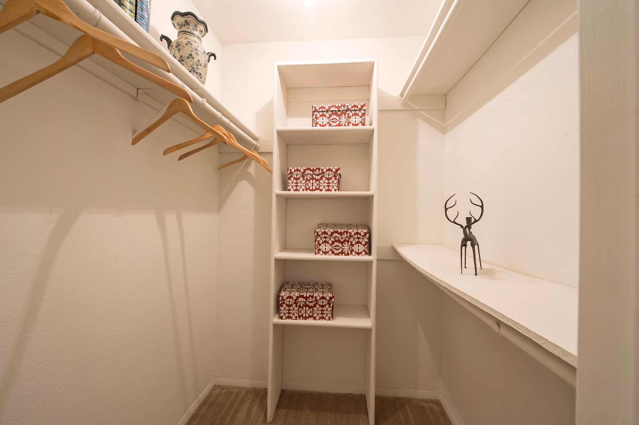 Spacious closet with ample storage in Willow Springs Apartments