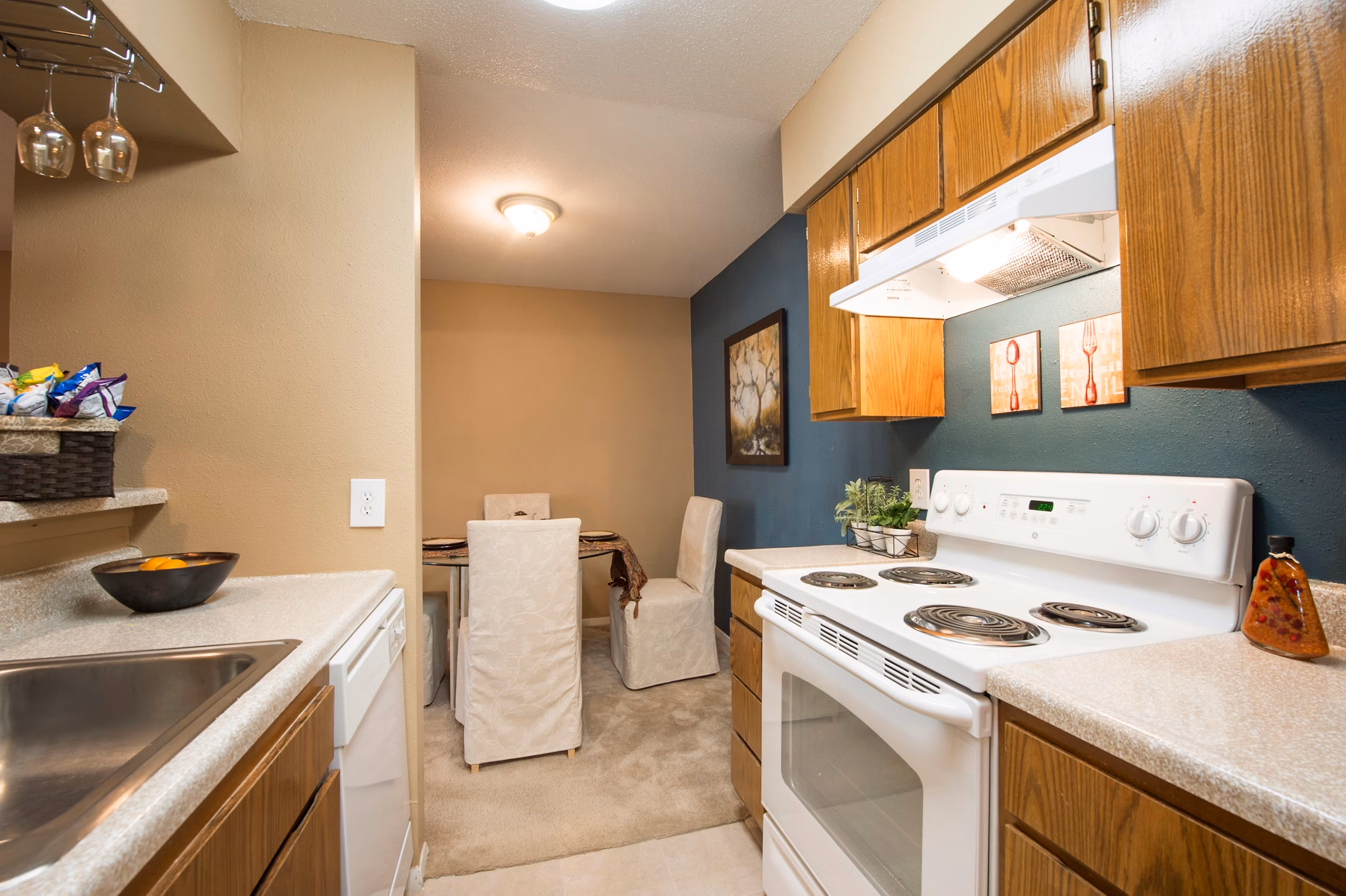 Modern kitchen with stainless steel appliances at Willow Springs Apartments