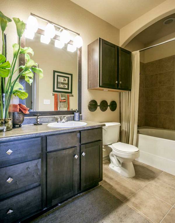 bathroom at Discovery at Shadow Creek Ranch Apartments