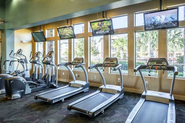 fitness center at Discovery at Shadow Creek Ranch Apartments