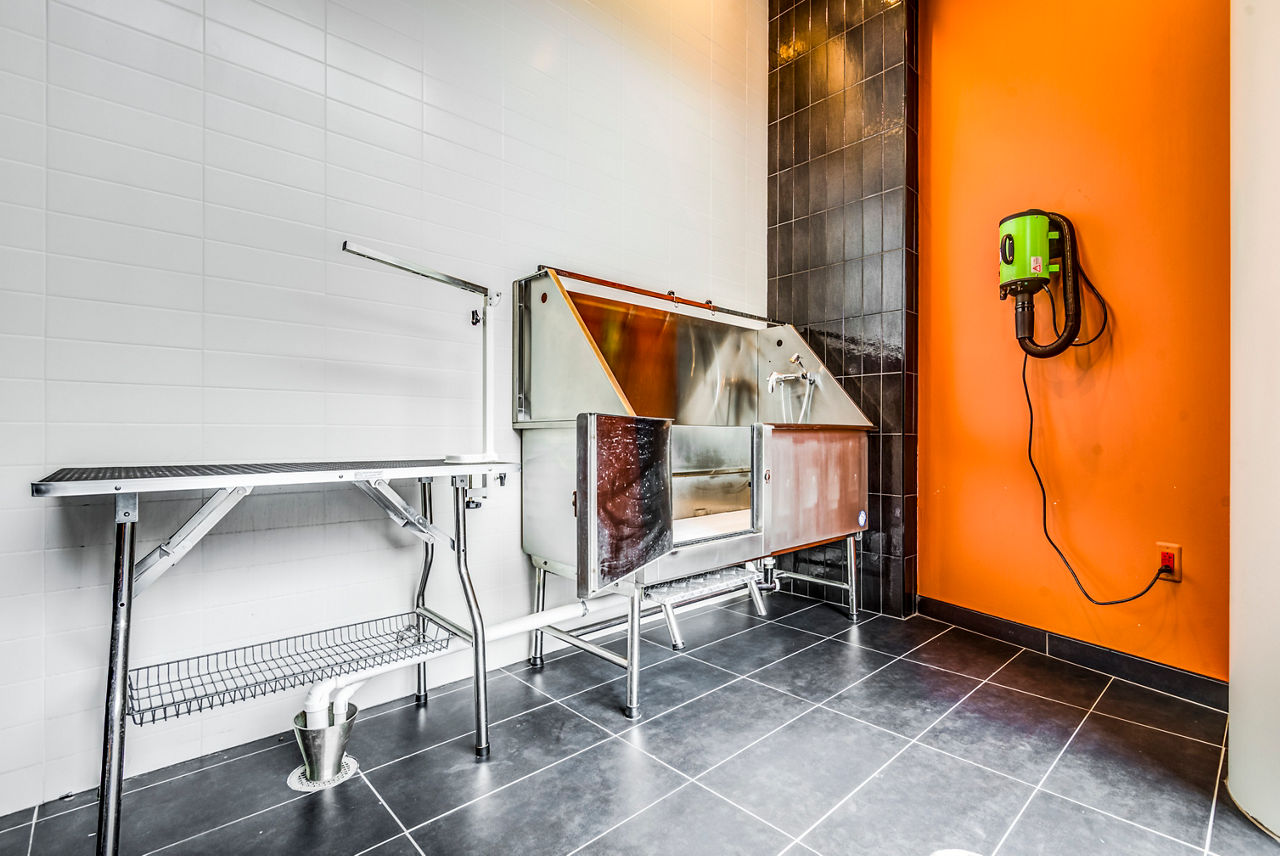 City Centre Ithaca Ithaca Ny 10 of 12