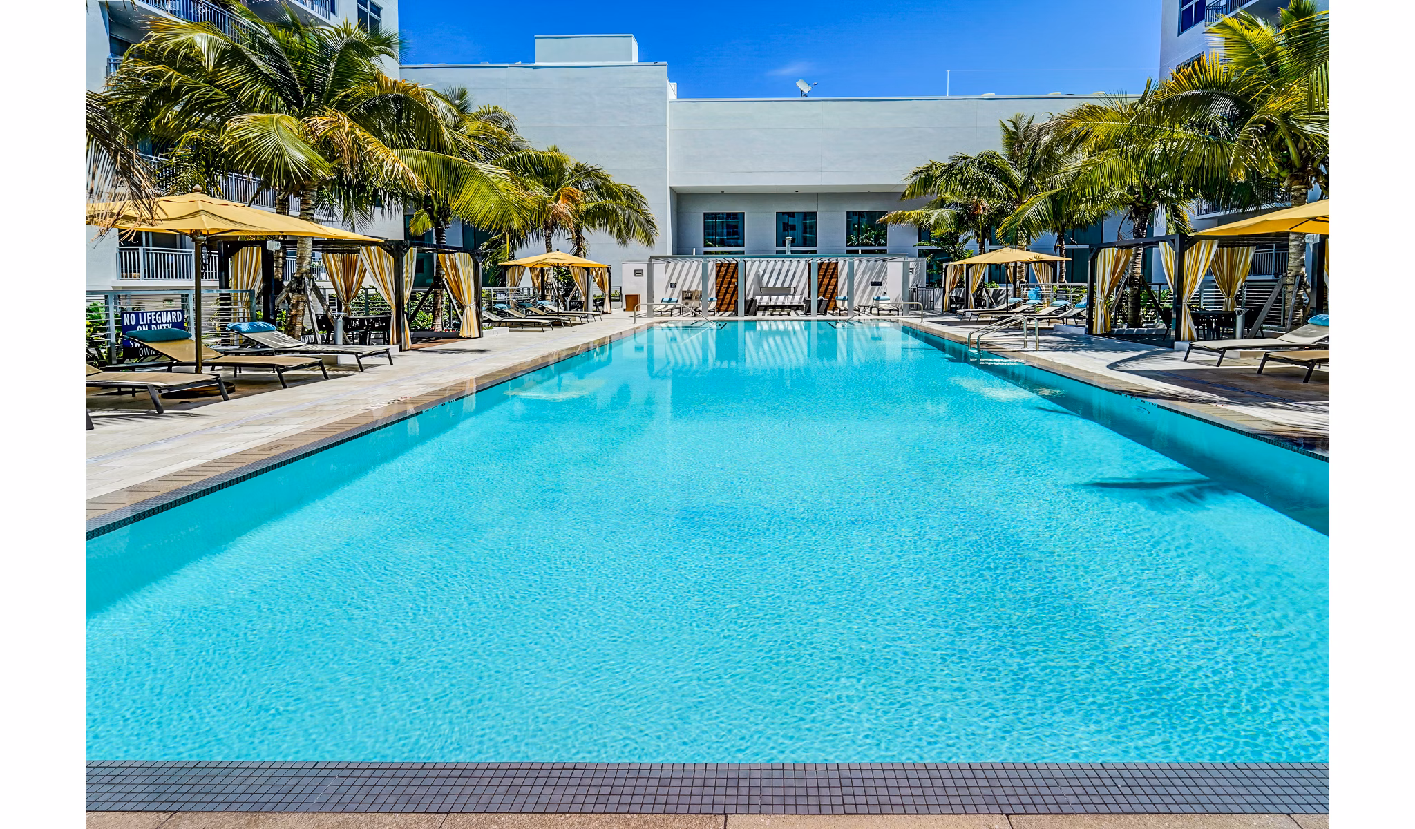 Saltwater infinity pool at Oversea at Flagler Banyan Square Apartments with palm tree views