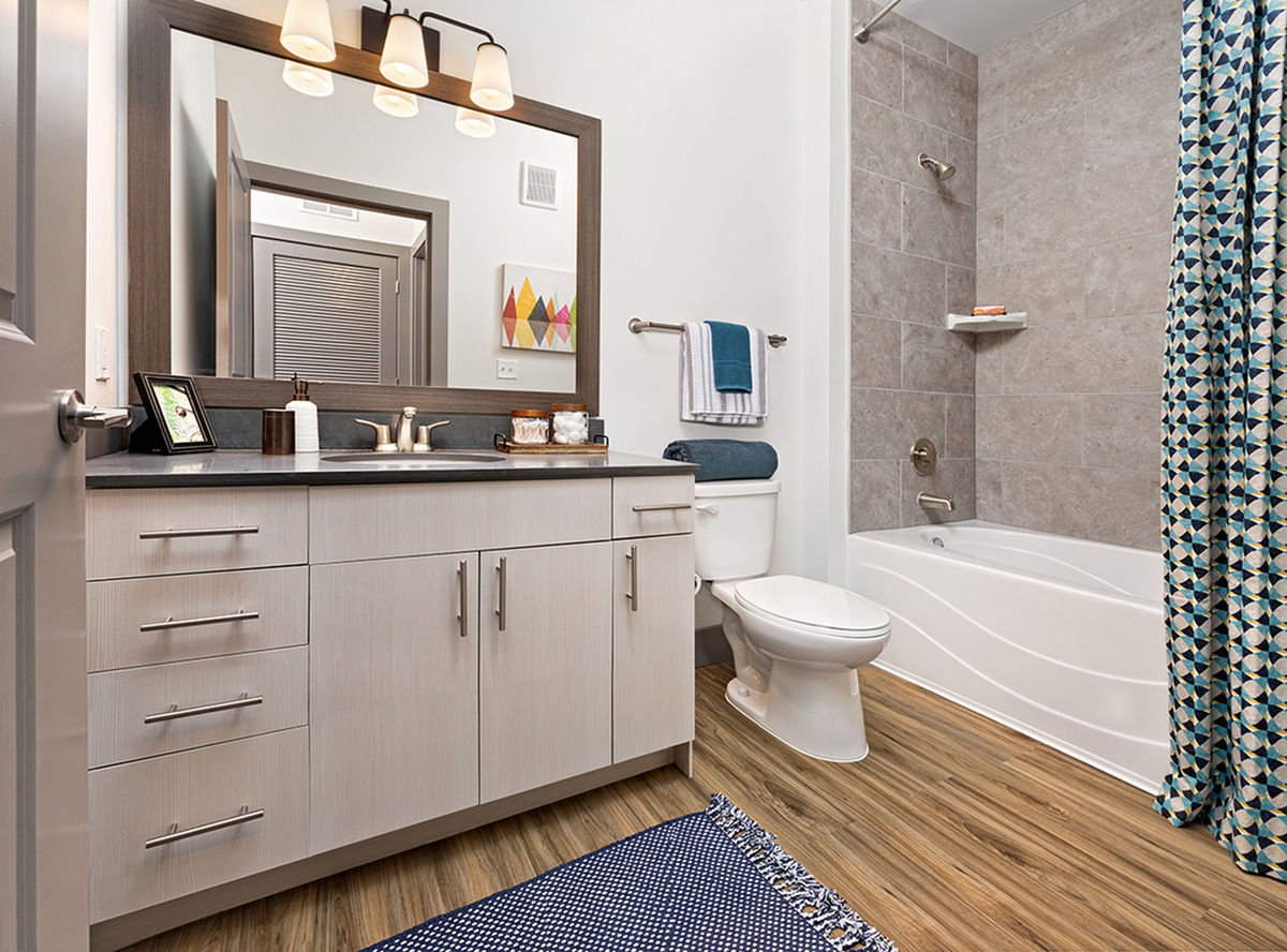 bathroom at Flats at 703 Apartments